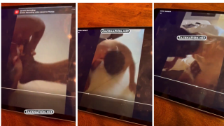Glenn Greenwald Sex Tape Video Trending