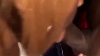 Cooking With Kya Cumshot In Mouth Viral Sex Tape